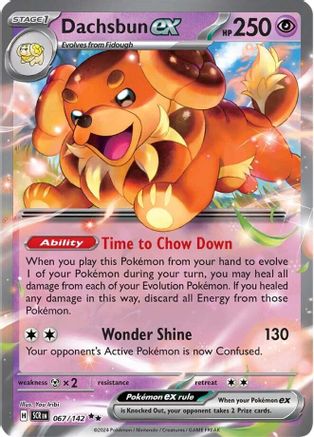 Dachsbun ex (67) Double Rare Holofoil
